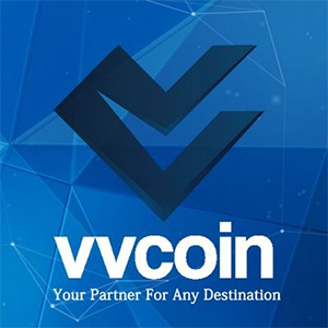 VV Coin Coin Logo